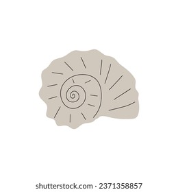 Tropical underwater seashell. Hand drawn sea mollusk shellfish element. Vector illustration in scandinavian style.