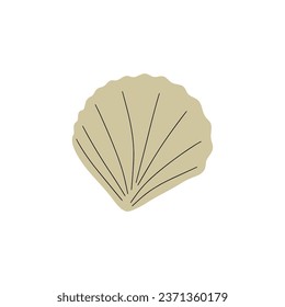 Tropical underwater seashell. Hand drawn sea mollusk shellfish element. Vector illustration in scandinavian style.