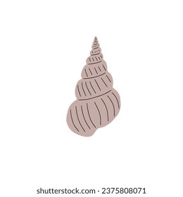 Tropical underwater seashell. Hand drawn sea mollusk shellfish element. Vector illustration in scandinavian style.