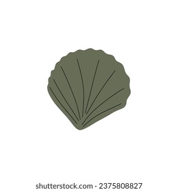 Tropical underwater seashell. Hand drawn sea mollusk shellfish element. Vector illustration in scandinavian style.