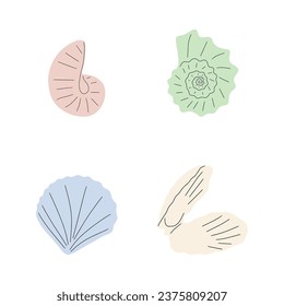Tropical underwater seashell. Hand drawn sea mollusk shellfish element. Vector illustration in scandinavian style.