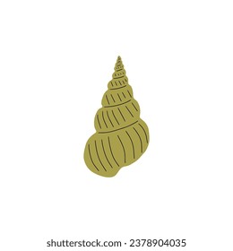 Tropical underwater seashell. Hand drawn sea mollusk shellfish element. Vector illustration in scandinavian style.