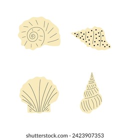 Tropical underwater seashell. Hand drawn sea mollusk shellfish element. Vector illustration in scandinavian style.