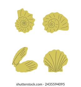 Tropical underwater seashell. Hand drawn sea mollusk shellfish element. Vector illustration in scandinavian style.