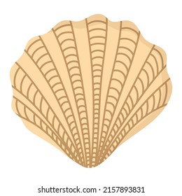Tropical underwater shell. Doodle flat clipart. All objects are repainted.