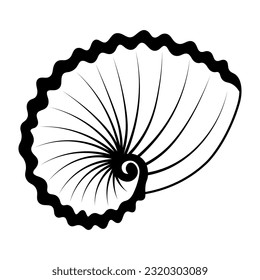 Tropical underwater shell. Doodle simple clipart. All objects are repainted.