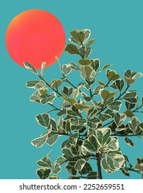 planta tropical variada y puesta de sol, diseño de fondo de tarjeta de ilustración de verano tropical