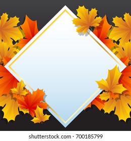 tropical Vector background for banner, poster, flyer
