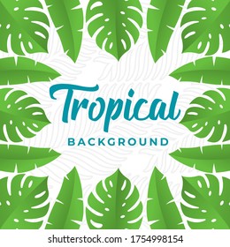 Ilustración del diseño de fondo del vector tropical. Hojas tropicales Ilustración de diseño plana Vector. Resumen Plantilla de diseño de fondo de verano tropical para banner, patrón, invitación, afiche, folleto.