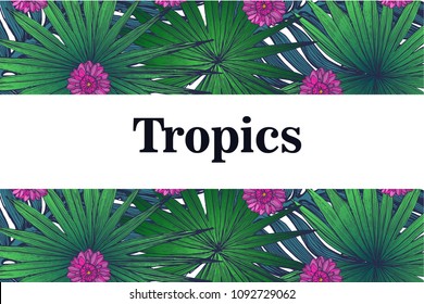 tropical, vector background, green, summer, palm leaves and flowers