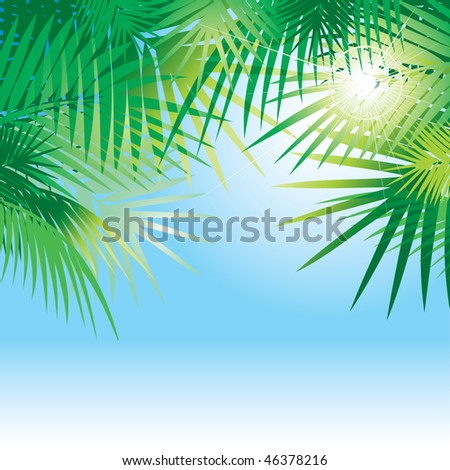 tropical vector background with leaves of palm trees