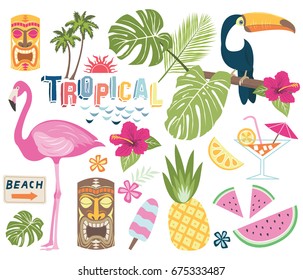 Tropical Vector Collection.