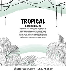 tropical vector design background  with hand drawn illustration of tropical leaves. summer background