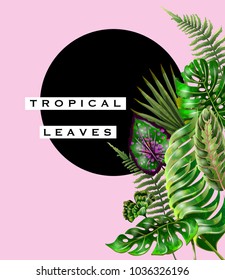  Tropical vector design for banner or flyer with black circle and  green palm leaves on the pink background.