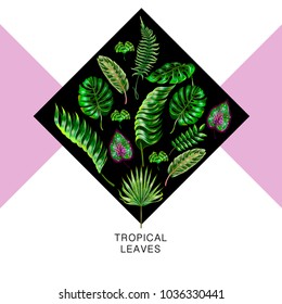 Tropical vector design for banner with  palm, fern, monstera leavesand pink background.