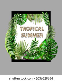 Tropical vector design for banner or print for t-shirt with  palm, fern, monstera leaves.