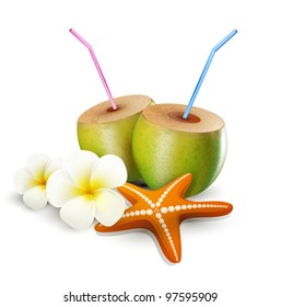 tropical vector elements for design on a white background (starfish, coconut drink, flowers)