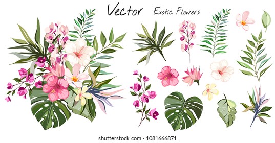 Tropiske vektor blomster. kort med blomster illustration. Bukett med blomster med eksotisk blad isolert på hvit bakgrunn. sammensetning for invitasjon til fest eller ferie