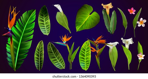 Tropical vector flowers. card with floral illustration. Bouquet of flowers with exotic Leaf isolated on white background. composition for invitation to party or holiday