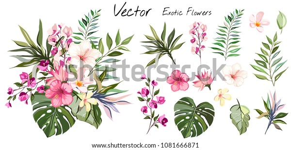 熱帯のベクター画像の花 花柄のイラストとカード 白い背景に花とエキゾチックな葉 パーティーまたは祝日への招待の構図 のベクター画像素材 ロイヤリティフリー