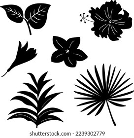 Tropical vector flowers and leaves filled. exotic plants. Icons. Illustration of beautiful hand-drawn tropical plants