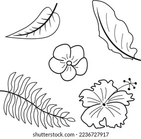 Tropical vector flowers and leaves outline. Exotic plants for coloring. Illustration of beautiful hand-drawn tropical plants