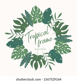 Tropical vector frame. Tropical background