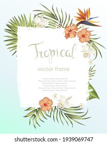 Tropical vector frame with hibiscus, palm and flowers. Seamless botanical illustrations. Template for art design. 