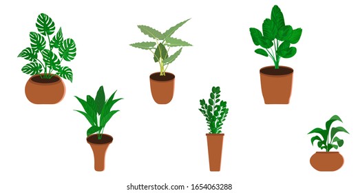 Tropical vector green leaves, exotik plant, palm leaves, floral desighn,paradise nature