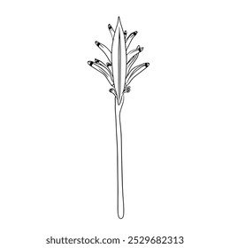 Tropical vector heliconia flower illustration on isolated background. Beautiful botanical hand painted linear exotic frangipani. For designers, spa decoration, postcards, wedding, greetings