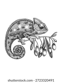 Ilustración vectorial tropical. Dibujado a mano boceto de camaleón. Dibujo de las bayas de Goji. NO se ha generado IA
