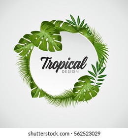 Tropical Vector Illustration With Place For Your Text. Exotic Plants Background, Frame Design With Leaves