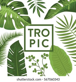 Tropical Vector Illustration with place for your text. Exotic Plants Background, Frame Design with Leaves