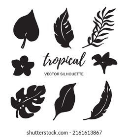 Tropical vector leaf silhouettes. Black on white. Vector illustration