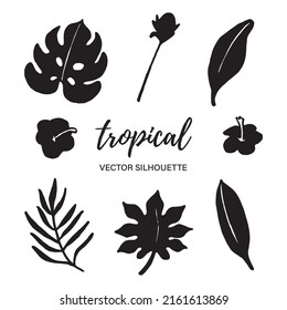 Silhouettes de hoja vectorial tropical. Negro sobre blanco. Ilustración del vector