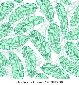 Tropical vector leaves seamless pattern. palm banana tree leaves, jungle leaf seamless vector, floral exotic wallpaper. Feathers background