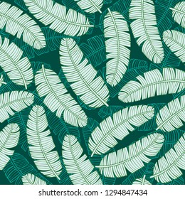 Tropical vector leaves seamless pattern. palm banana tree leaves, jungle leaf seamless vector, floral exotic wallpaper. Feathers background