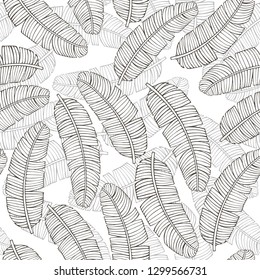 Tropical vector leaves seamless pattern. black and white palm banana tree leaves, jungle leaf seamless vector, floral exotic wallpaper. Feathers background