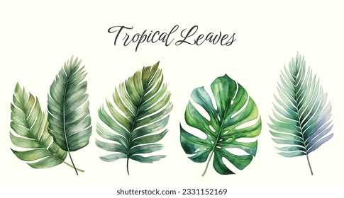 Hojas vectoriales tropicales. Ilustración floral acuarela. Conjunto de hojas exóticas. Hojas de palma