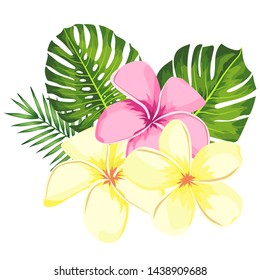 Tropical vector pink plumeria flowers, branches and leaves set for floral card illustration. Flower Bouquet with exotic Leaf isolated on white background. Elements for invitation to party or holiday