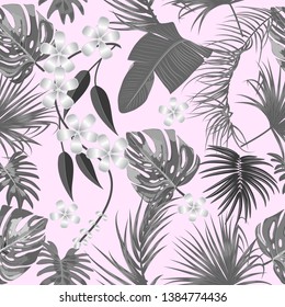 Tropical vector seamless pattern. Botany design, jungle leaves of palm tree and flowers. Black and white 