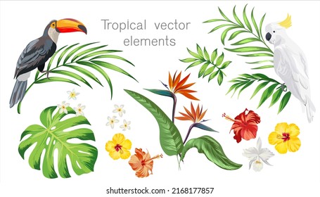 Tropical vector set. Isolated elements on white background. Jungle leaves, birds and flowers.