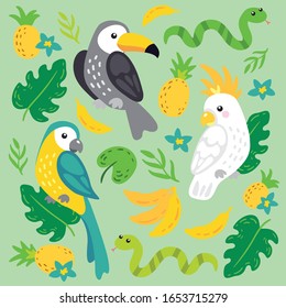 Tropical vector set: parrots, hornbill, snakes and plants. Cute jungle characters.