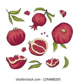 Tropical vector set with pomegranate fruit while and slices with seeds. Armenian fruit collection. Vector bright elements design. 
