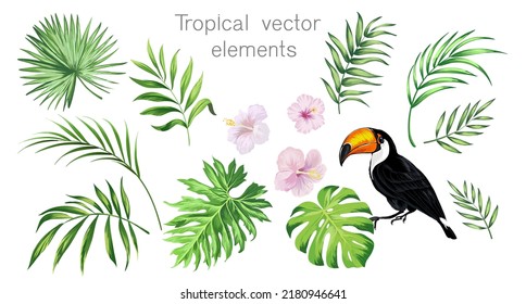 Tropical vector set for summer beach design. Isolated elements on a white background. Palm leaves, exotic flowes, birds of paradise.	