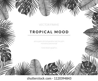 Tropical vector template background with vintage exotic plants. Hand drawn retro styled frame graphic.