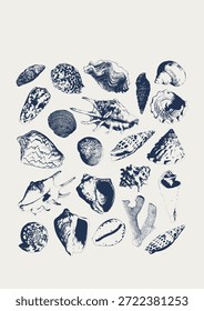 Tropical vector underwater style poster of corals and seashells collection Isolated on white background. Card for interior design, prints, fabric or background.