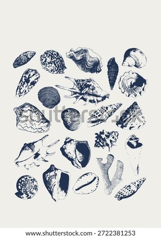 Tropical vector underwater style poster of corals and seashells collection Isolated on white background. Card for interior design, prints, fabric or background.