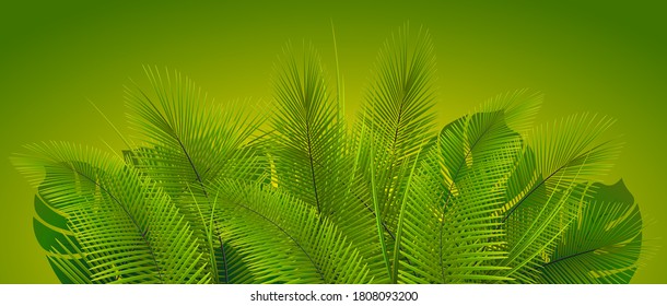 Tropical vegetation on green background. Plant leaves. Exotic vegetation. 