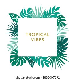 tropical vibes background with monstera palm and leaves